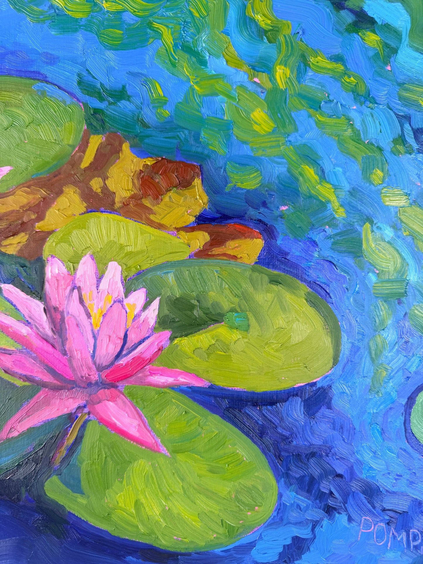 Quiet Water, Open Bloom