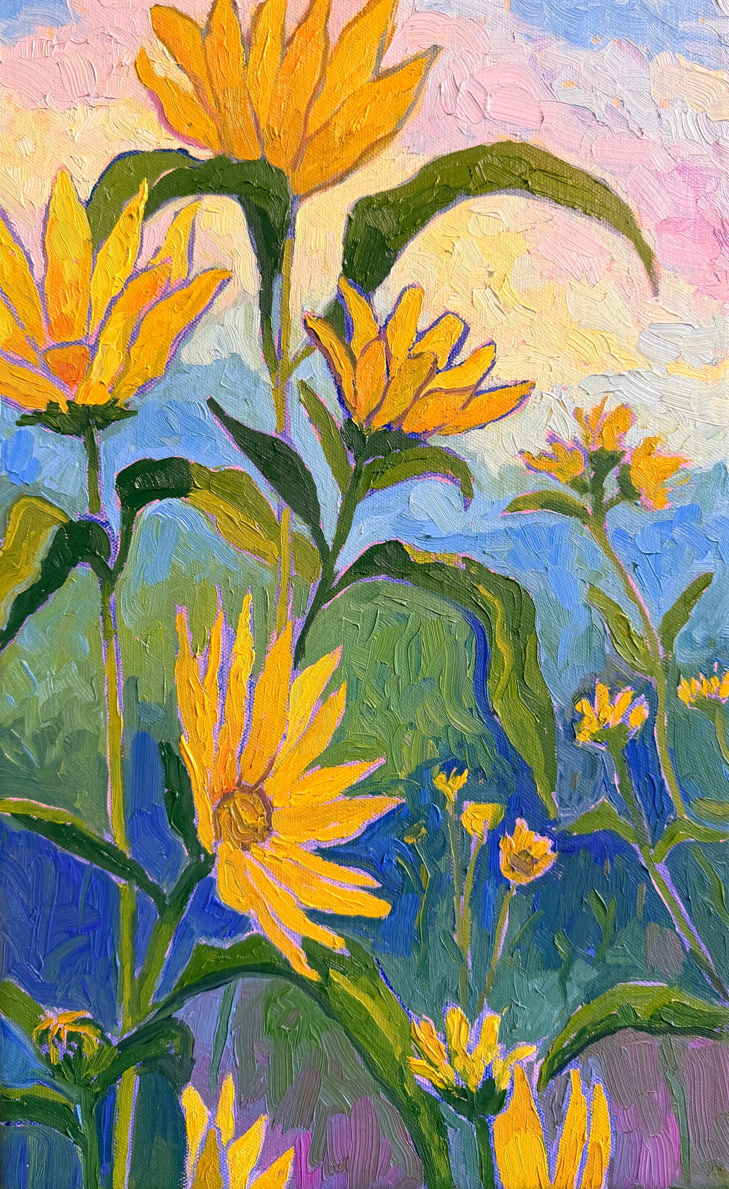 Among False Sunflowers