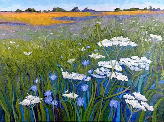 Among Queen Ann's lace