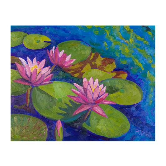 Quiet Water, Open Bloom
