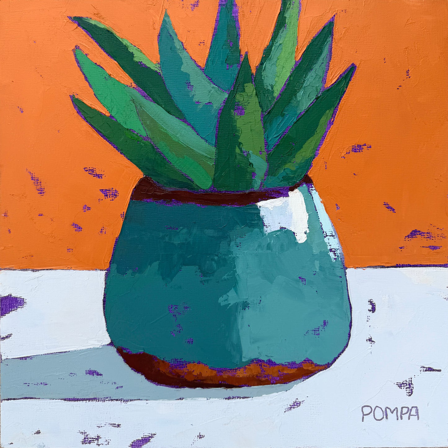 Aloe Vera