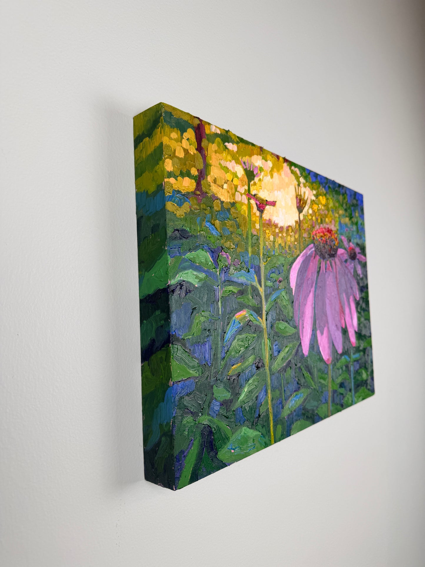 Shared Light