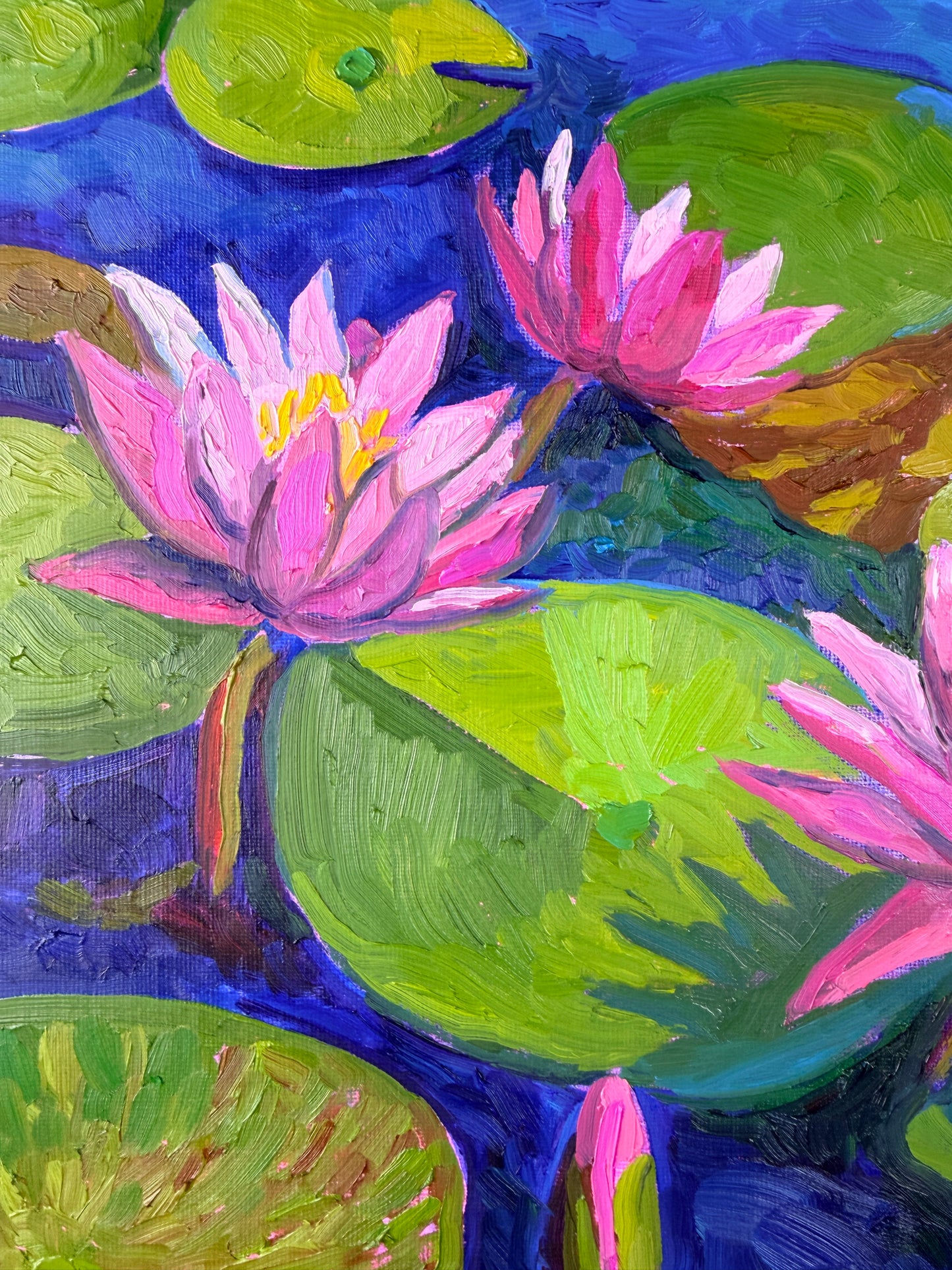 Quiet Water, Open Bloom