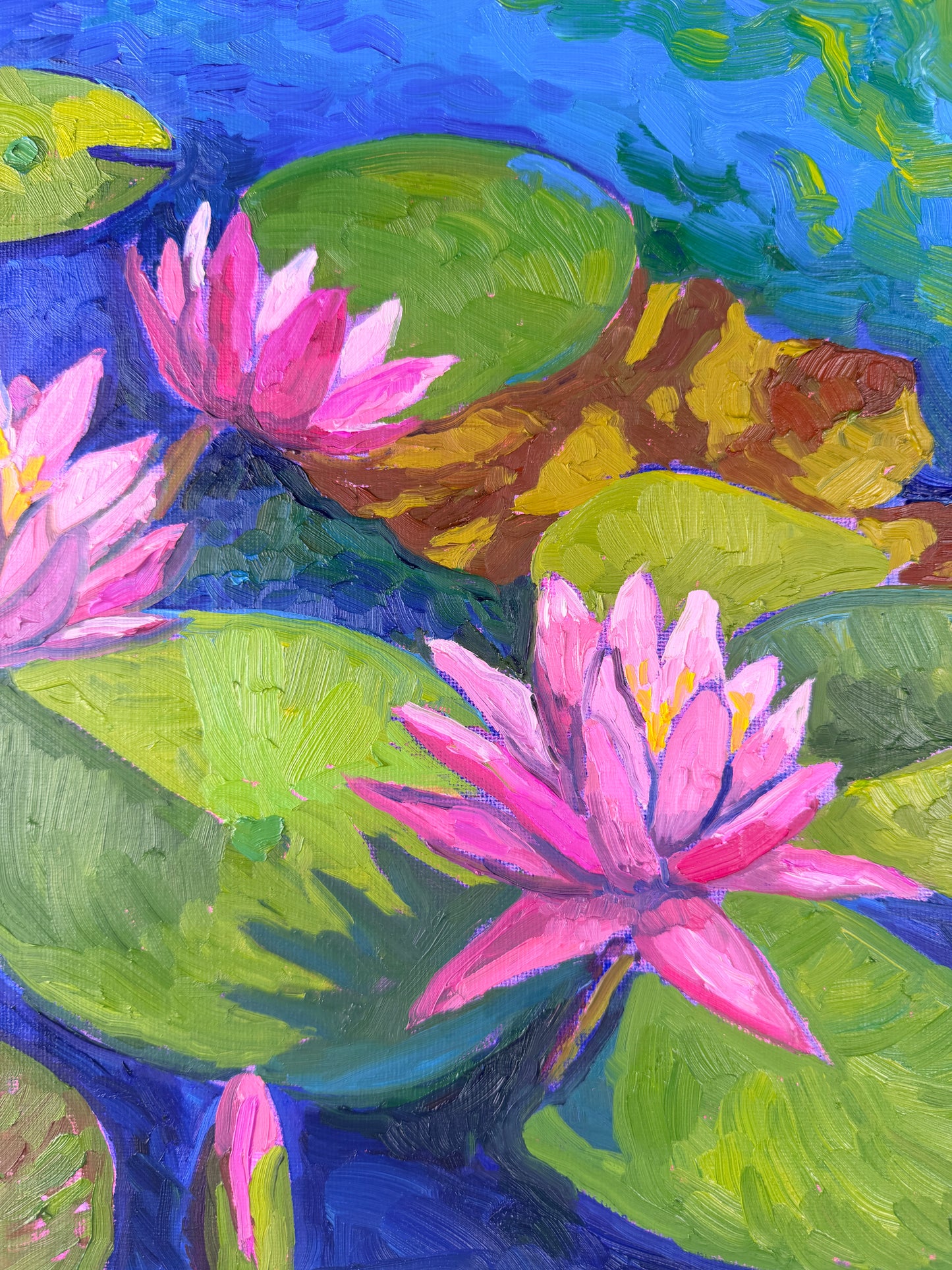 Quiet Water, Open Bloom