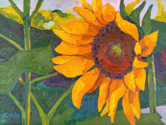 Sunward