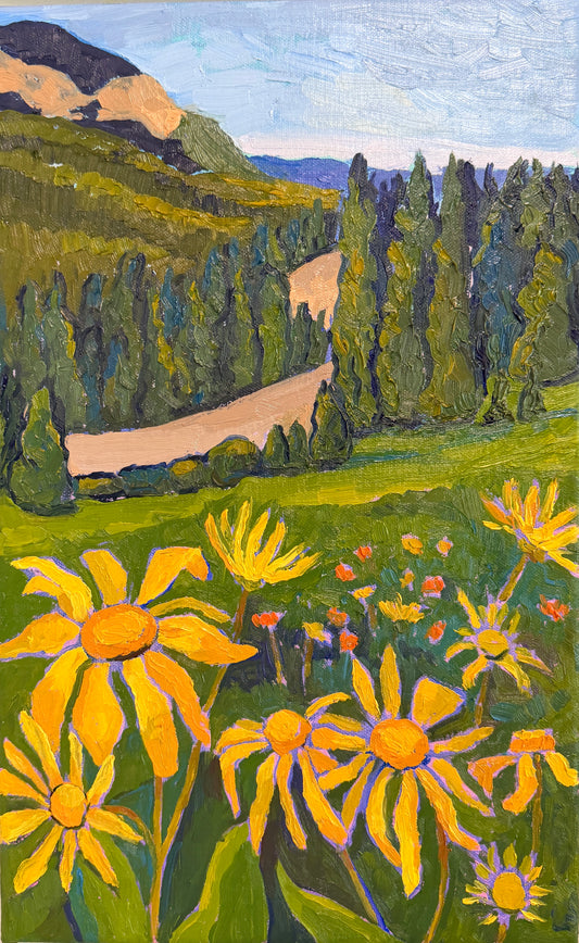 Among Alpine Wildflowers